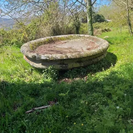 Apartment La Casina In Voltaia Piancastagnaio